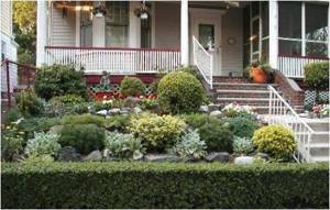 Front garden - what is it, ideas for a beautiful front garden in the photo