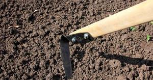 Flat cutter for loosening soil and removing weeds