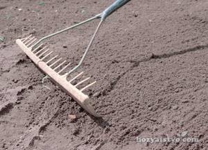 Подготовка и выравнивание почвы