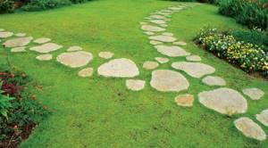 Stepping path on the lawn