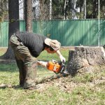 With a skillful approach, manually uprooting stumps is a fairly effective method, since you can remove not only the stump from the soil, but also the absolute maximum of the root system