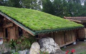 Пример зеленой крыши частного дома
