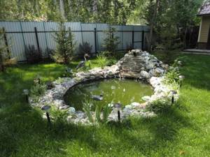 film pond for the dacha