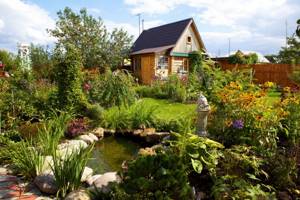 Do-it-yourself pond in the country: views, photos and step-by-step installation
