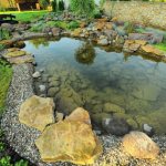 pond at the dacha