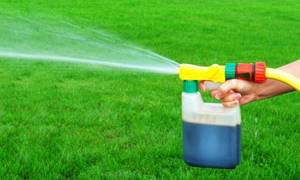 Spraying liquid lawn fertilizer