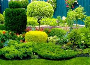 garden landscape design