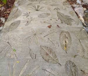 Concrete garden path
