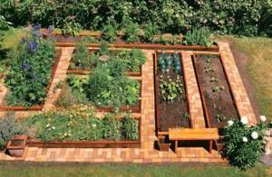 Garden plastic board: pros and cons