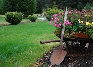 Садово-огородный инвентарь - лопата