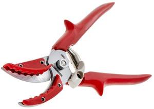Secateurs Berger-1560 for cutting roses