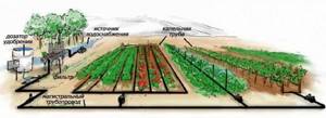 Irrigation scheme