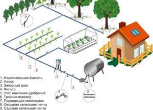 Irrigation system at the dacha from a container