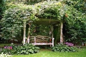 Bench in a secluded corner of the garden