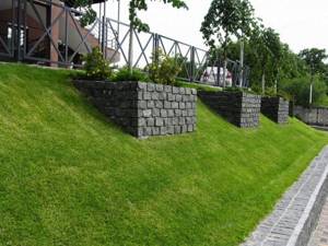 Special lawn on a steep slope of the site