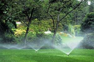 sprinkler irrigation