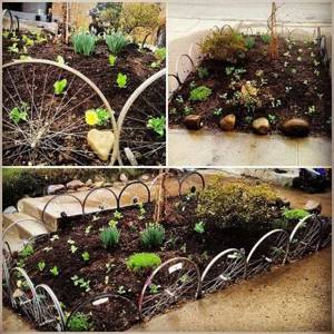 Old bicycle wheels can decorate your dacha. How? Make a flower garden fence out of them. 