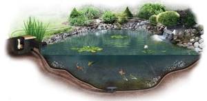 Construction of a pond_step by step instructions