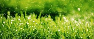 Lawn care technology: a review of 6 important “grass” care procedures