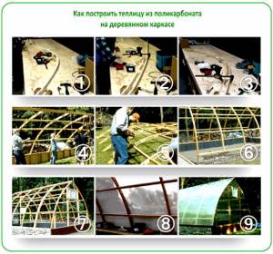 DIY polycarbonate greenhouse