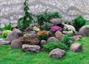 Plot with rock garden