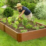convenience of raised beds