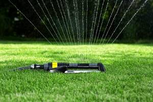 Lawn care in spring after winter, summer and autumn. Lawn preparation by month 