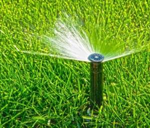 fan sprinkler in automatic watering