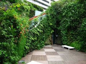 vertical gardening in landscape design