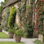 Vertical gardening in the garden of Sissinghurst Castle (England)