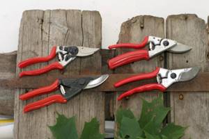 Types of pruners