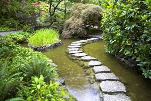 water in a Japanese garden
