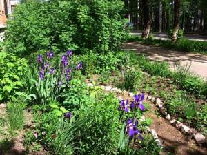 The choice of a shady area for a flower bed depends on how dry or wet the soil is in the selected area.