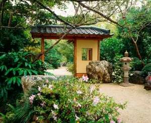 Japanese garden in the country